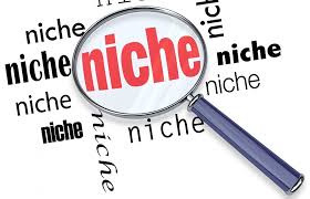 niche sites