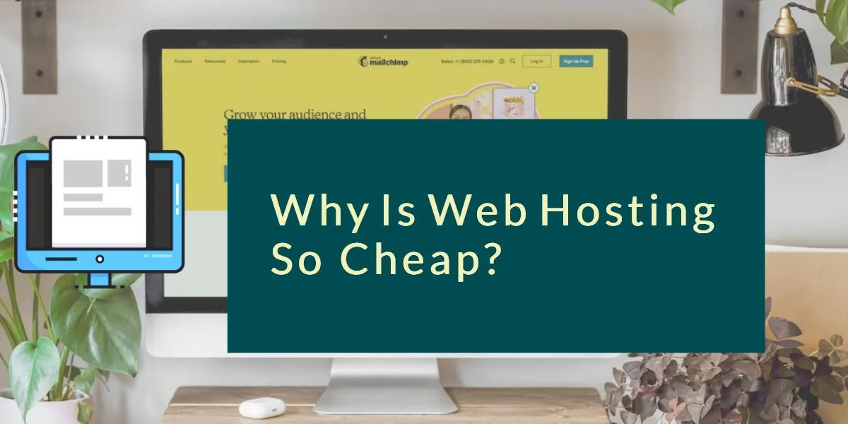 Why Web Hosting Cheap