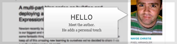 blogs author box