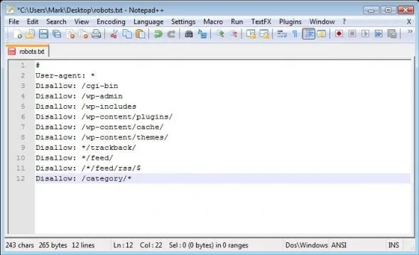 wordpress robot txt file