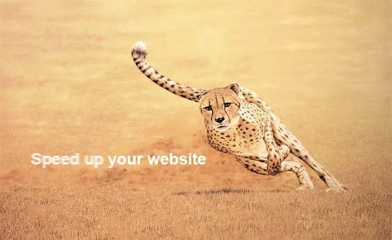 speed up your web site