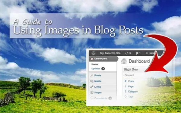 use images in blog post